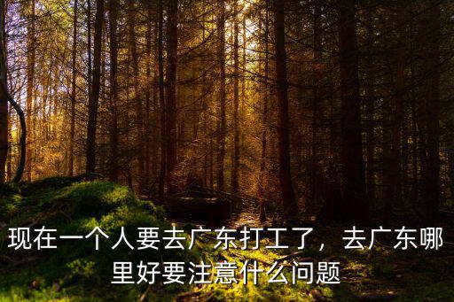 現(xiàn)在一個人要去廣東打工了，去廣東哪里好要注意什么問題