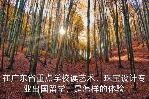 在廣東省重點學校讀藝術，珠寶設計專業出國留學，是怎樣的體驗