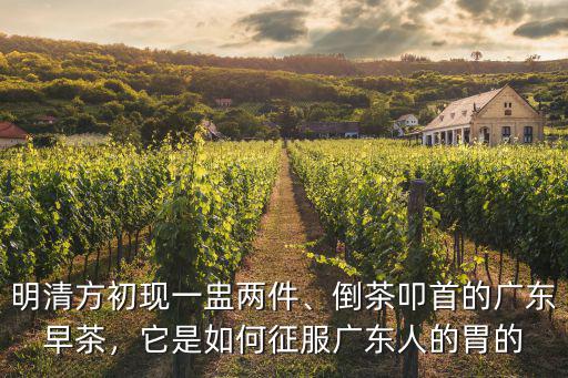 明清方初現(xiàn)一盅兩件、倒茶叩首的廣東早茶，它是如何征服廣東人的胃的
