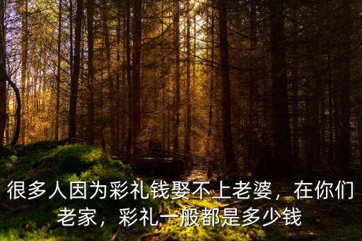 很多人因為彩禮錢娶不上老婆，在你們老家，彩禮一般都是多少錢