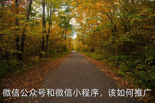 東莞小程序怎么推廣,校園電商微信小程序怎么推廣