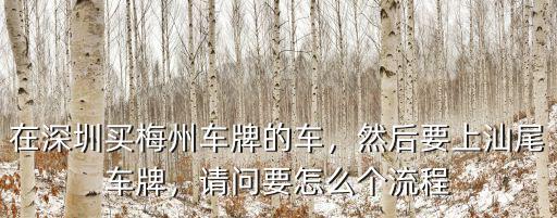汕尾車牌怎么上牌,然后要上汕尾車牌
