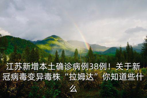 江蘇新增本土病例多少例,江蘇新增兩例輸入型病例