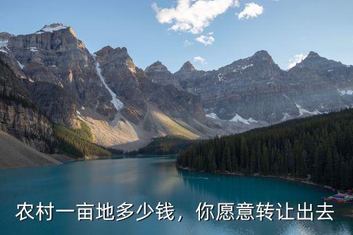 農村一畝地多少錢，你愿意轉讓出去