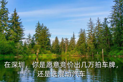 深圳現在拍車牌多少錢一個,深圳現在競拍車牌
