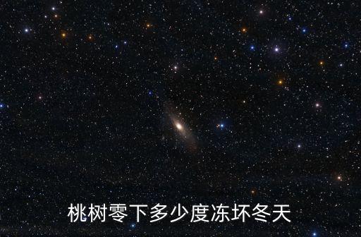 山東桃樹能抗多少度嚴寒,桃樹零下多少度凍壞