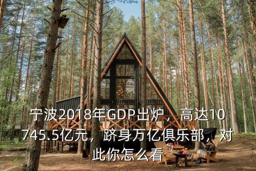寧波2018年GDP出爐，高達(dá)10745.5億元，躋身萬(wàn)億俱樂(lè)部，對(duì)此你怎么看