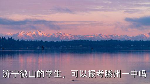 山東省滕州一中多少學生,濟寧微山的學生