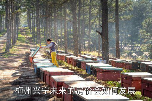 梅州興寧市房價多少錢,廣東興寧市房價怎樣
