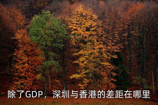 除了GDP，深圳與香港的差距在哪里