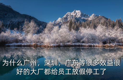 為什么廣州，深圳，廣東等很多效益很好的大廠都給員工放假停工了