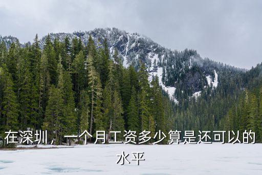 在深圳，一個月工資多少算是還可以的水平