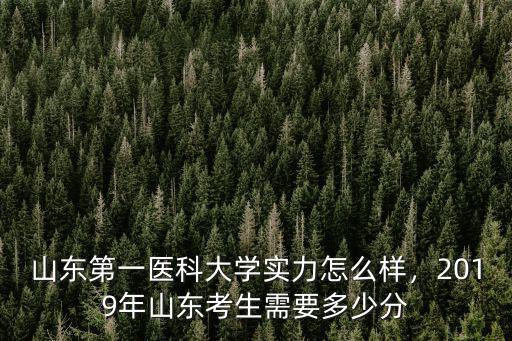 山東第一醫科大學實力怎么樣，2019年山東考生需要多少分
