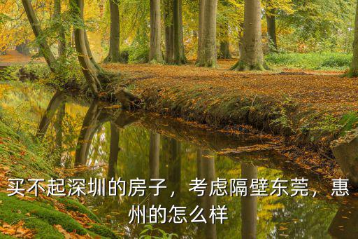買不起深圳的房子，考慮隔壁東莞，惠州的怎么樣