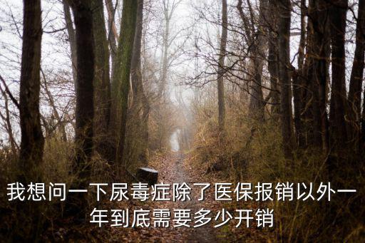 我想問一下尿毒癥除了醫保報銷以外一年到底需要多少開銷