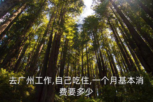 去廣州工作,自己吃住,一個月基本消費要多少