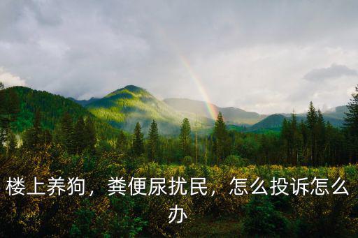 樓上養狗，糞便尿擾民，怎么投訴怎么辦
