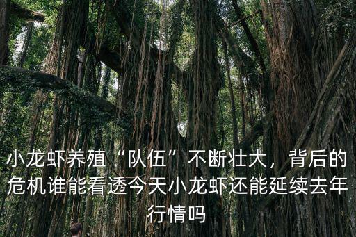 深圳哪里養殖小龍蝦,小龍蝦養殖隊伍不斷壯大