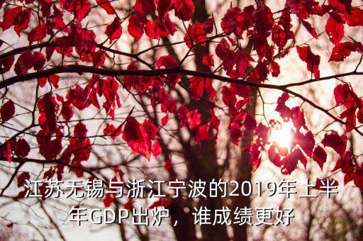 江蘇無錫與浙江寧波的2019年上半年GDP出爐，誰成績更好