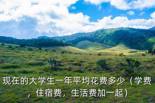 現(xiàn)在的大學(xué)生一年平均花費多少（學(xué)費，住宿費，生活費加一起）