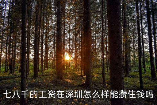 深圳多少工資過(guò)的舒服,七八千的工資在深圳怎么樣