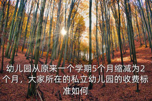 深圳民辦幼兒園多少錢一個學期,一個月大約多少錢