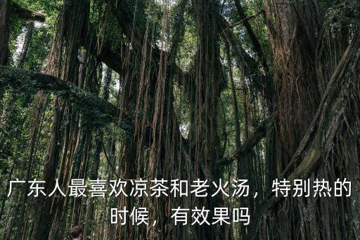 廣東人最喜歡涼茶和老火湯，特別熱的時候，有效果嗎