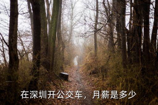 在深圳開公交車，月薪是多少