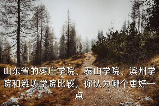 山東省的棗莊學院、泰山學院、濱州學院和濰坊學院比較，你認為哪個更好一點
