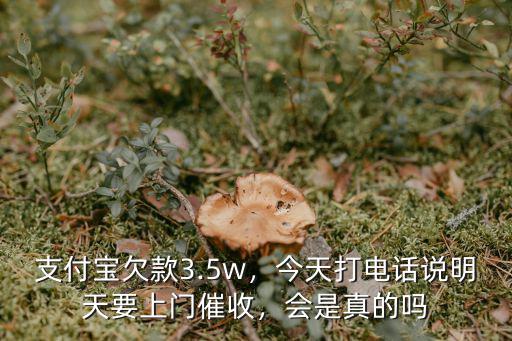 支付寶佛山催收電話是多少,支付寶欠款3.5w
