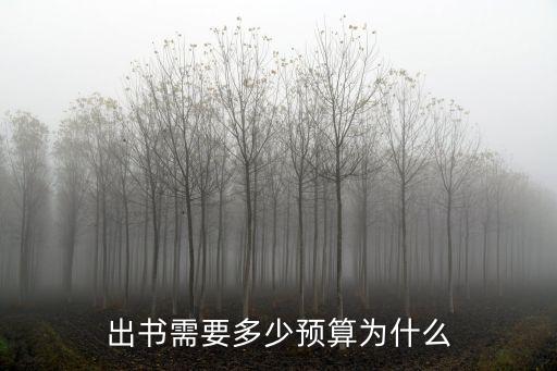 出書需要多少預算為什么