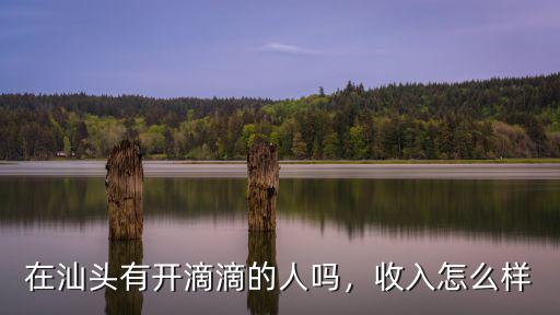 汕頭滴滴哪里人多,在汕頭有開滴滴的人嗎