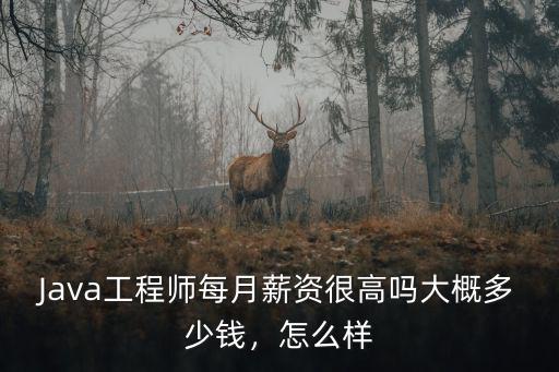 Java工程師每月薪資很高嗎大概多少錢，怎么樣
