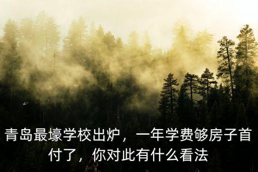 青島國際學校一年學費多少,青島最壕學校出爐