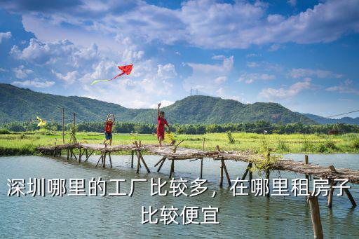 深圳羅湖區哪里廠比較多,深圳哪里的工廠比較多