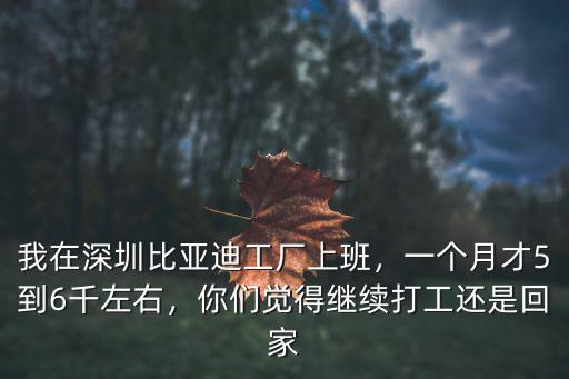 深圳比亞迪公司怎么樣呢,深圳龍崗區的比亞迪廠怎么樣