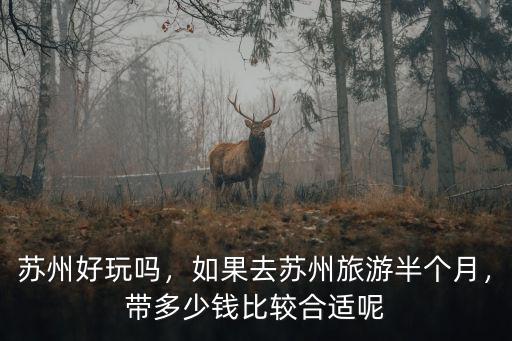 蘇州好玩嗎，如果去蘇州旅游半個月，帶多少錢比較合適呢