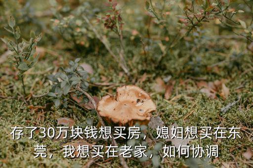 在東莞買房沒戲回老家怎么辦,在東莞買房沒戲