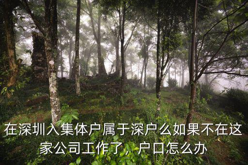 在深圳入集體戶屬于深戶么如果不在這家公司工作了，戶口怎么辦