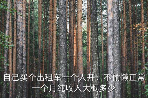 自己買個出租車一個人開，不偷懶正常一個月純收入大概多少