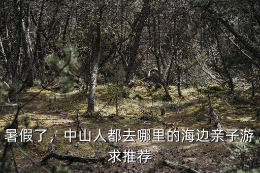暑假了，中山人都去哪里的海邊親子游求推薦