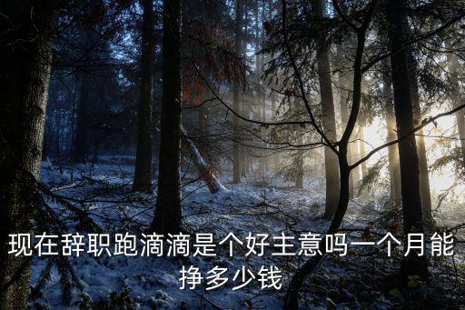 宿遷跑滴滴一個月能掙多少,一個月能掙多少錢