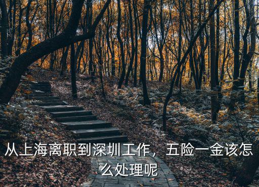 深圳繳納的五險一金離職怎么辦,從上海離職到深圳工作