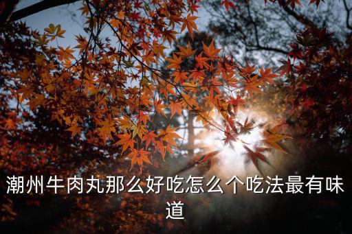 潮州牛肉丸那么好吃怎么個吃法最有味道