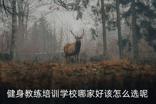 健身教練培訓學校哪家好該怎么選呢