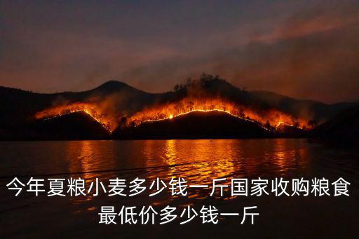 今年夏糧小麥多少錢一斤國家收購糧食最低價多少錢一斤