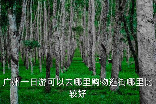 廣州一日游可以去哪里購物逛街哪里比較好