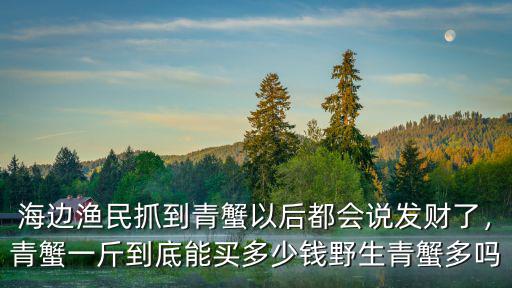 惠州青蟹價(jià)格多少,野生青蟹多嗎
