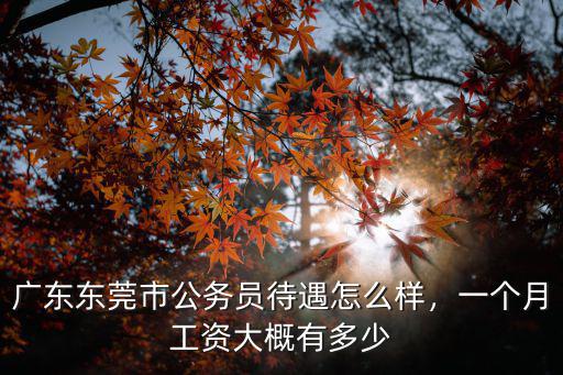 廣東東莞市公務員待遇怎么樣，一個月工資大概有多少