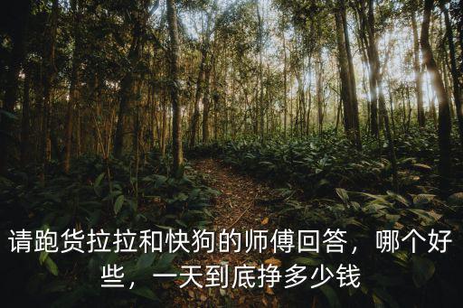 請跑貨拉拉和快狗的師傅回答，哪個好些，一天到底掙多少錢